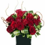 Romantic Red Roses