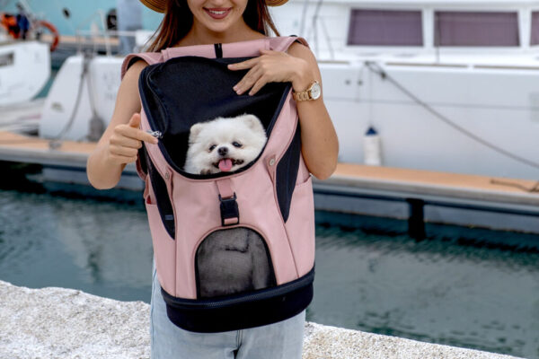 Airline Approved Bag Carrier for Small  Dog or Small Breed Pets - Image 6