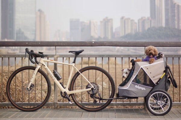 Pet Bicycle Trailer