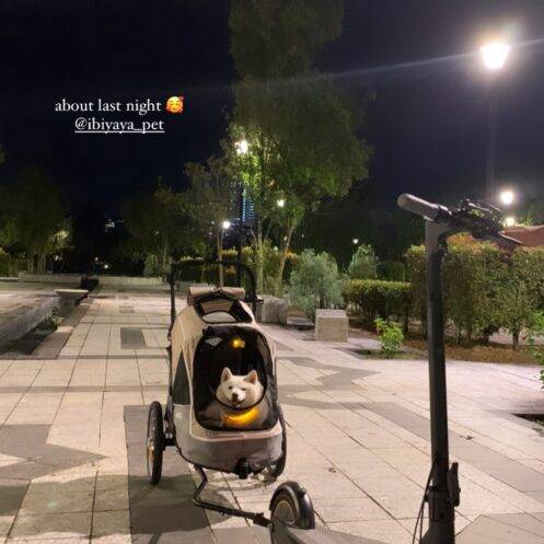 Dog Electronic Scooter Trailer