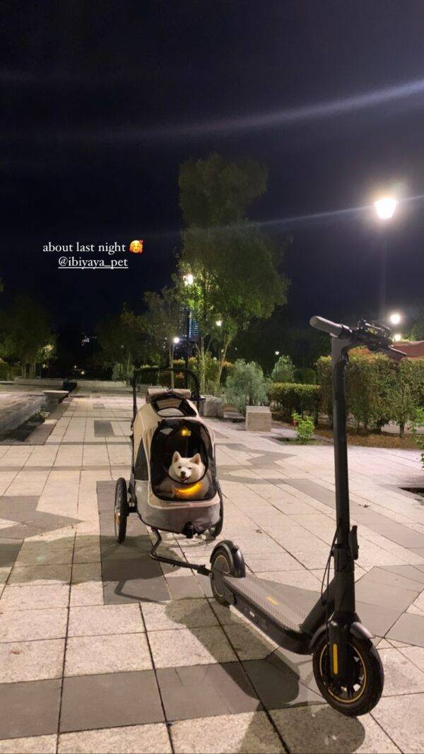 Dog Electronic Scooter Trailer