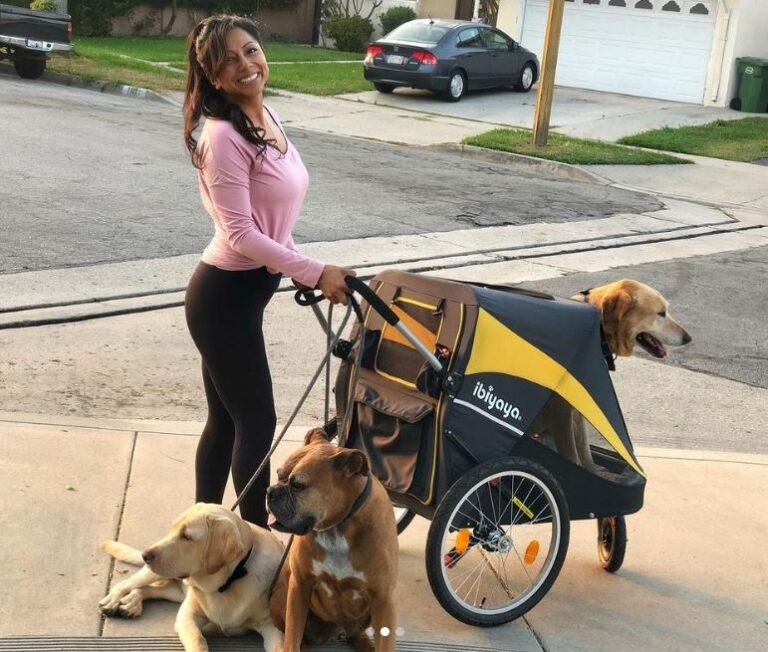 Ibiyaya Extra Large Dog Bike Trailer Stroller Combo, Hercules Heavy