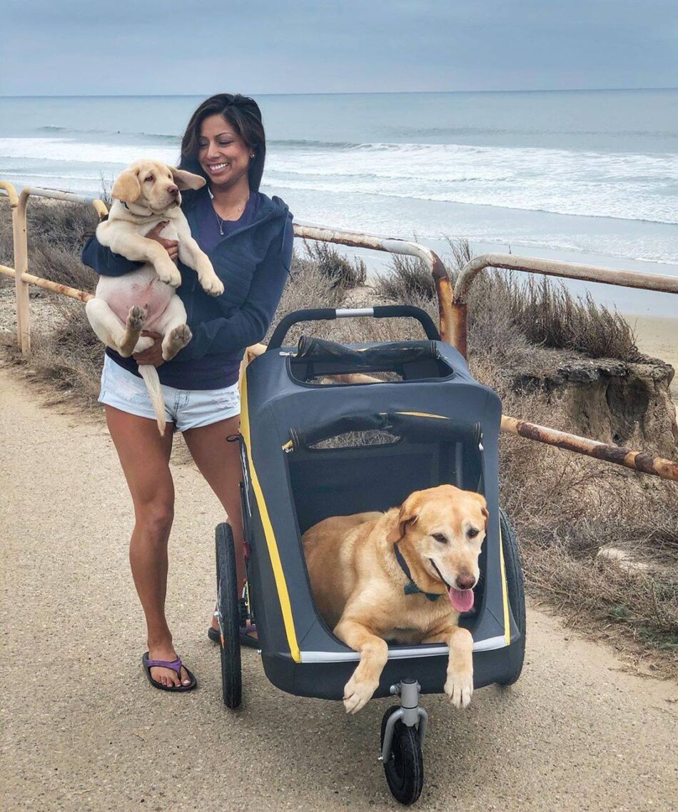 Ibiyaya Extra Large Dog Bike Trailer Stroller Combo, Hercules Heavy