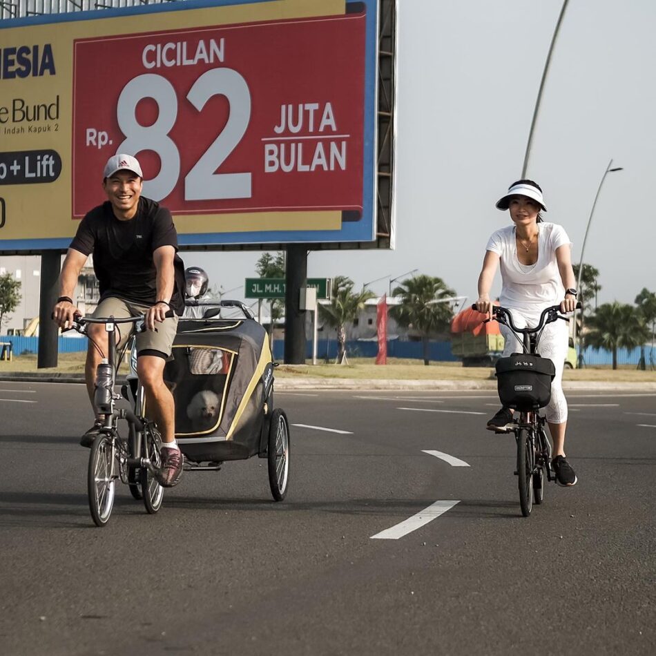 Ibiyaya Extra Large Dog Bike Trailer Stroller Combo, Hercules Heavy