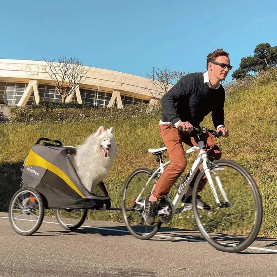 Ibiyaya Extra Large Dog Bike Trailer Stroller Combo, Hercules Heavy