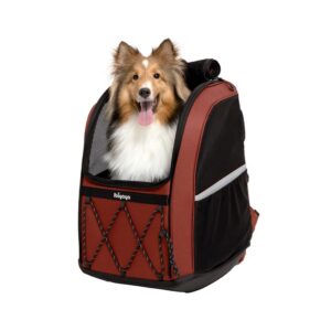 ibiyaya Champion Hiking and Travel Dog Backpack Carrier