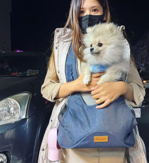 Hugpack Ibiyaya Front Dog Carrier Backpack, Best Puppy-Small Dog Chest Carrier for Walking, Shopping and Dining - Image 8