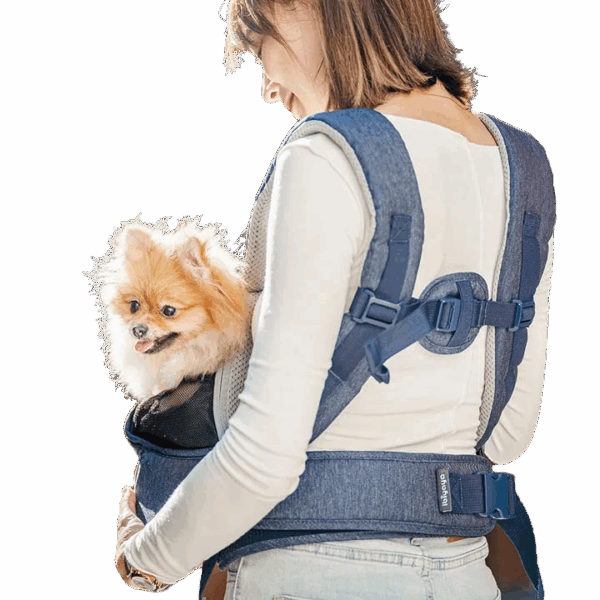 Hugpack Ibiyaya Front Dog Carrier Backpack, Best Puppy-Small Dog Chest Carrier for Walking, Shopping and Dining