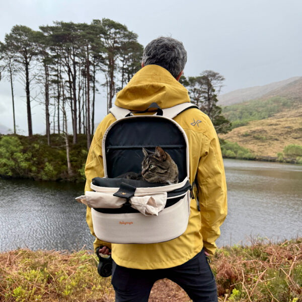 ibiyaya 2-in-1 Panorama Small Pet Travel Backpack Carrier with Wheels for Dog or Cats, Frontpack Airline Approved