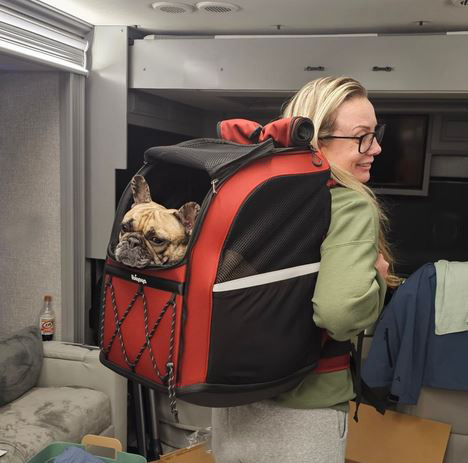 Champion Dog Backpack for Long Travel