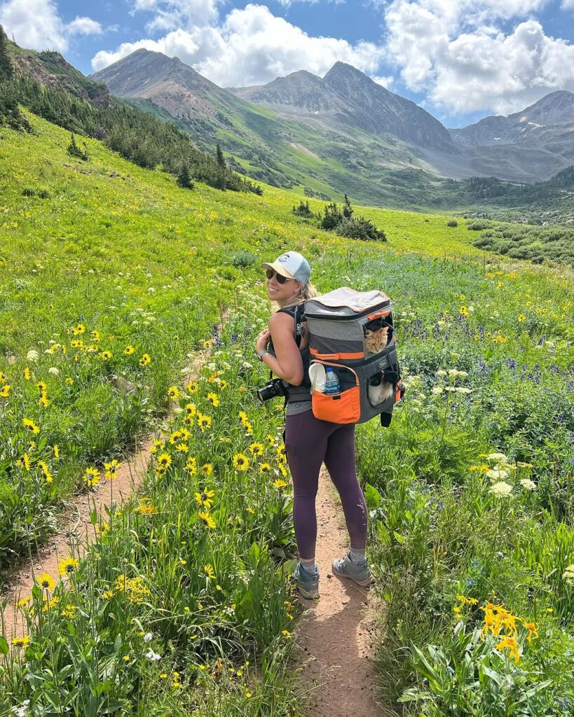 Two Cats Hiking Backpack