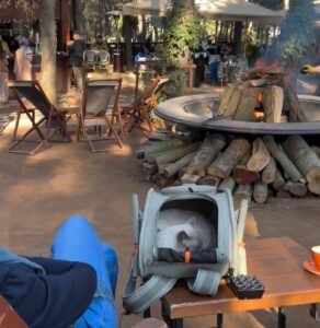 istanbul-camping-adventure