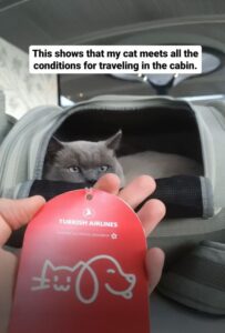 Turkish Airlines Approved Cat Carrier
