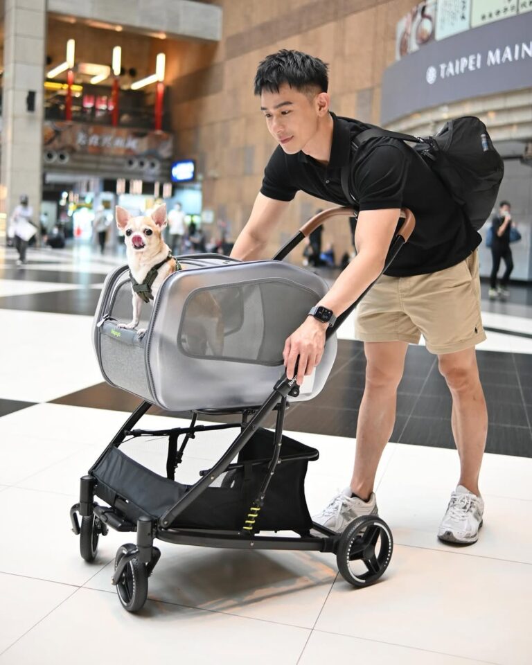Pet wagon with detachable carrier