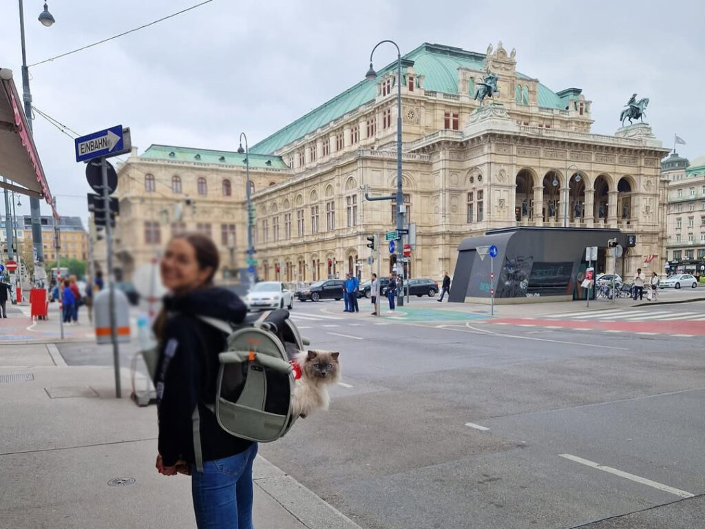 How to Travel at Vienna Australia with Your Cat using ibiyaya Cat Backpack