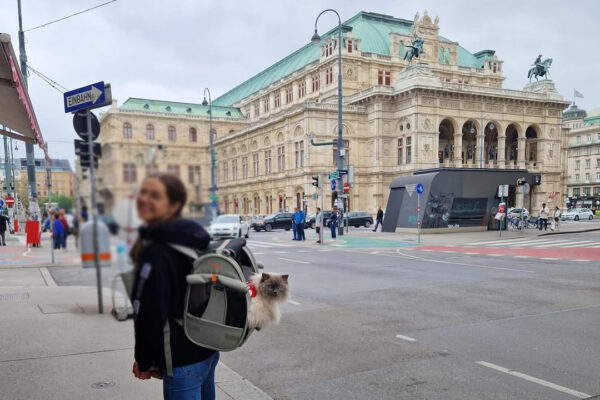 How to Travel at Vienna Australia with Your Cat using ibiyaya Cat Backpack