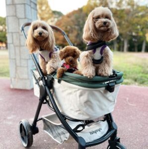Retro Luxury Pet Stroller for Large or Multiple Dogs by ibiyaya